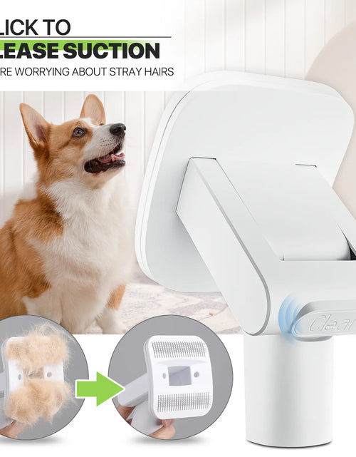 Load image into Gallery viewer, Pet Grooming Kit &amp; Vacuum Suction 99% Pet Hair, Dog Grooming Kit with 6 Professional Grooming Shedding Tools for Dogs Cats and Other Animals, Black
