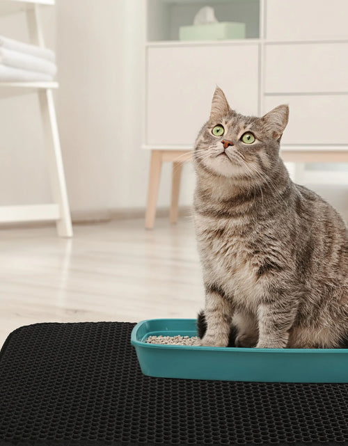 Load image into Gallery viewer, Cat Litter Mat, Double Layer Urine Waterproof Trapper Mat, Non-Slip,24X15 In, Black
