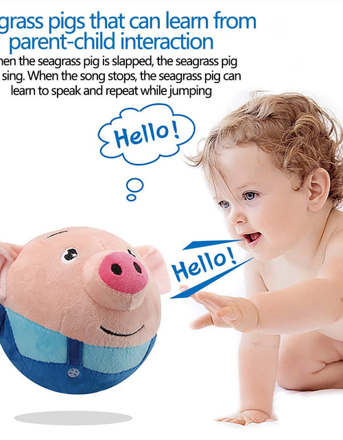 Load image into Gallery viewer, Dog Toy,Interactive Dog Toy Ball,Bouncing Rabbit Interactive Electronic Pet Plush Pet Toy with Sound,Dog Squeaky Toys for Aggressive Chewing,60 Song Music Durable Dog Squeaker, Durable Interactive Toy
